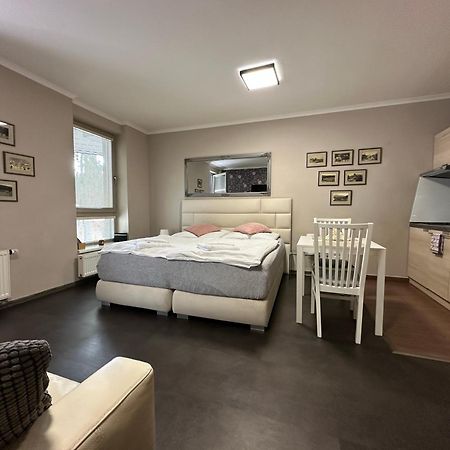 Harrachov Resident Apartments "Terrace & Chill" - High Speed Wifi, Smart Tv, Netflix, Disney Plus Eksteriør bilde