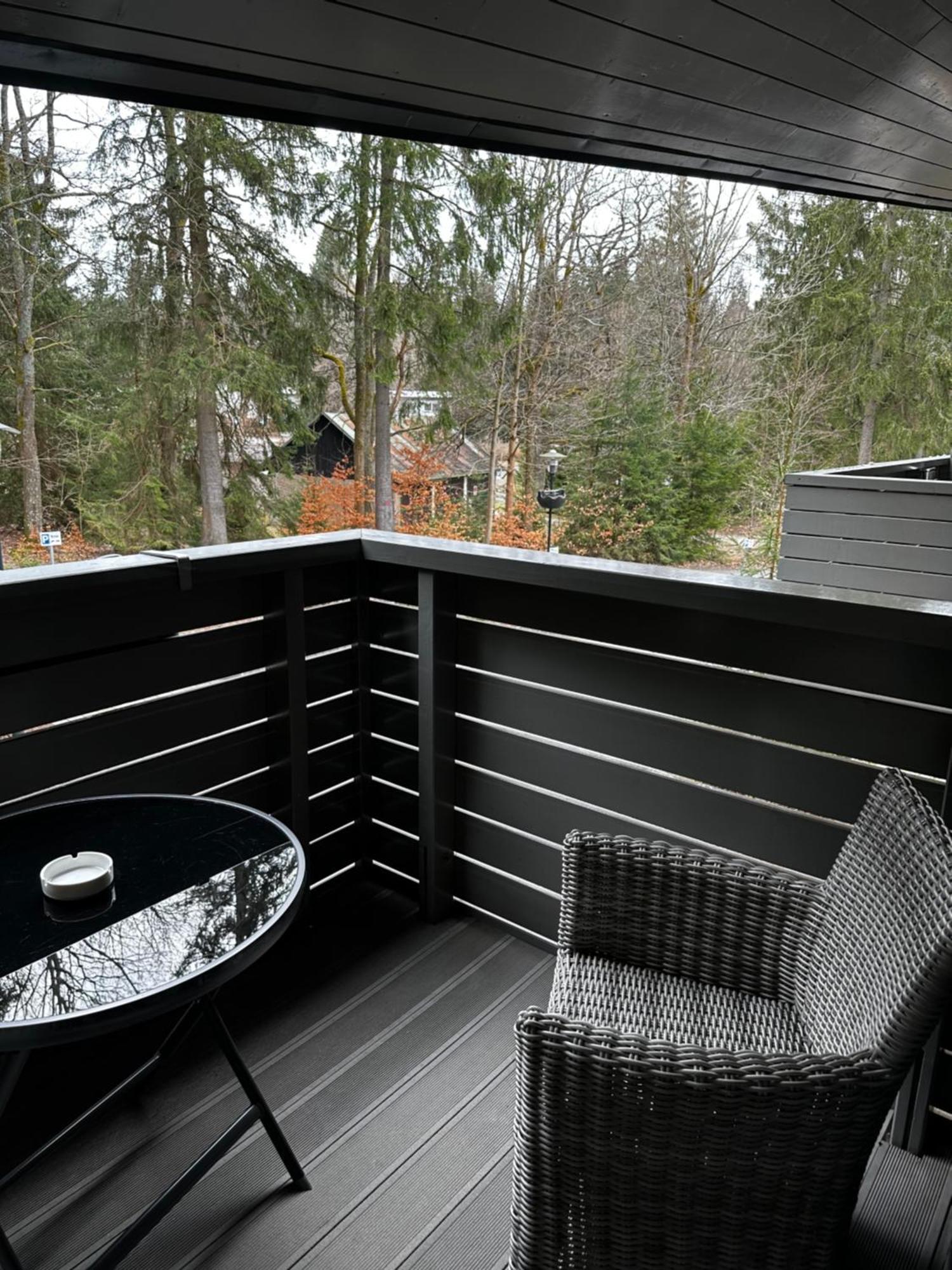 Harrachov Resident Apartments "Terrace & Chill" - High Speed Wifi, Smart Tv, Netflix, Disney Plus Eksteriør bilde