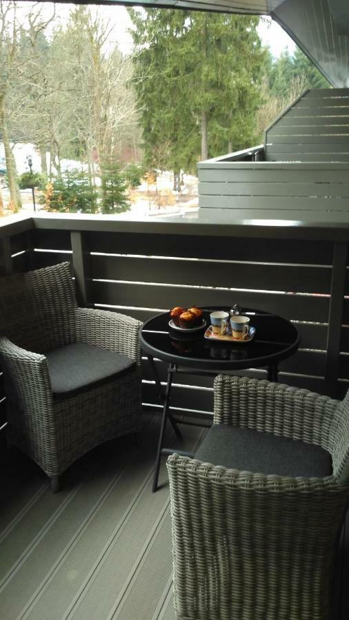 Harrachov Resident Apartments "Terrace & Chill" - High Speed Wifi, Smart Tv, Netflix, Disney Plus Eksteriør bilde