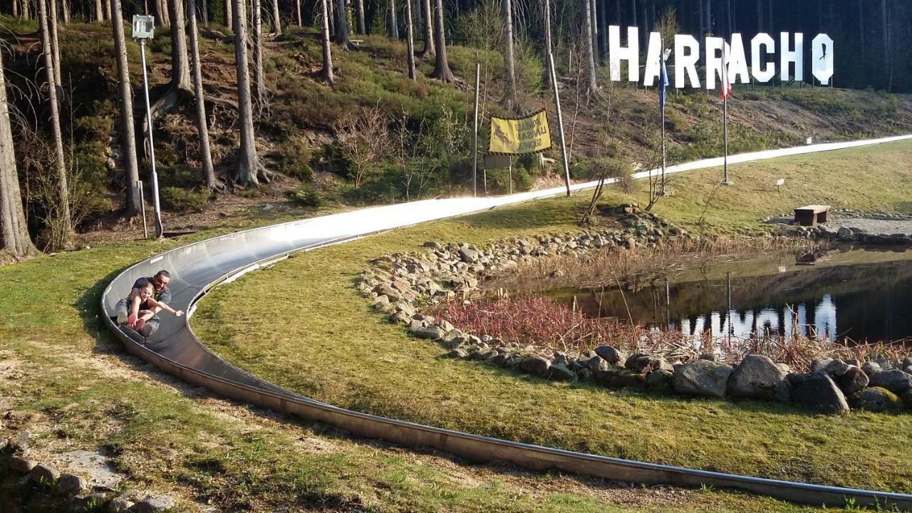 Harrachov Resident Apartments "Terrace & Chill" - High Speed Wifi, Smart Tv, Netflix, Disney Plus Eksteriør bilde
